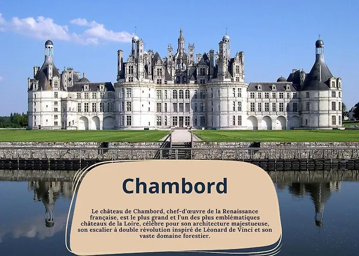 Appartement Loft Au Coeur Des Halles -parking Privé - Wifi Tours